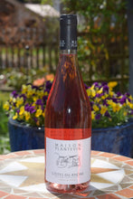 Laden Sie das Bild in den Galerie-Viewer, Cotes du Rhone Rosé - Maison Plantevin