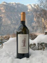 Laden Sie das Bild in den Galerie-Viewer, Grappa di Traminer Pojer e Sandri