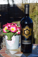 Appassiamento Rotwein trocken Abruzzen