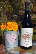 Nebbiolo Langhe DOC Rotwein  - Tenuta Cucco Piemont