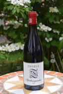 Das Bild zeigt eine Flasche Rotwein Spätburgunder vom Weingut Thörle, im Hintergrund sieht man Pflanzen.