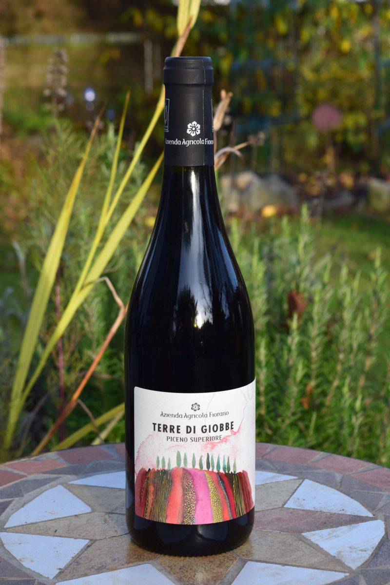 Terre Di Giobbe Rosso Piceno Superiore DOC