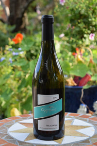 Malagousia Argyriou Winery
