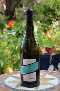 Malagusia Argyriou Winery