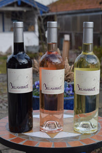 Probierpaket 6 Flaschen Biowein Coteaux d'Aix-En-Provence AOP
