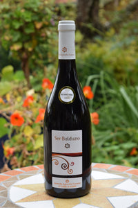 Ser Balduzio Marche Rosso IGT