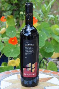 Terre San Nicola Rosso dell' Umbria Rotwein